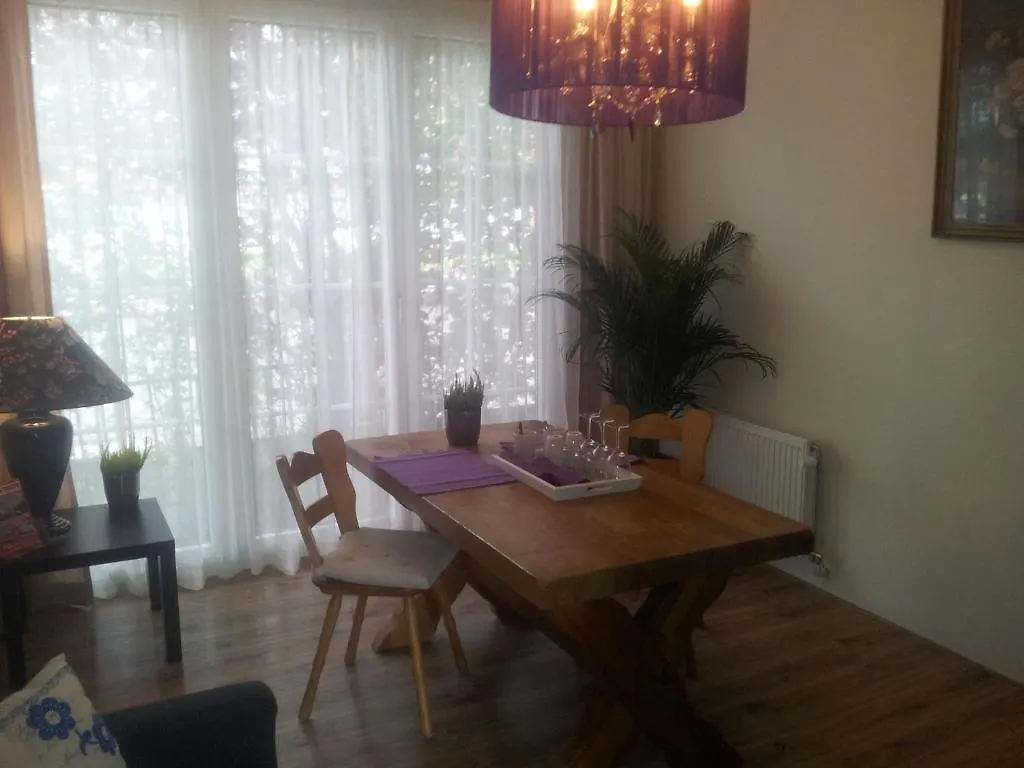 ***  @Early'S Olympic Old And New Style Bed & Breakfast Amsterdam Netherlands